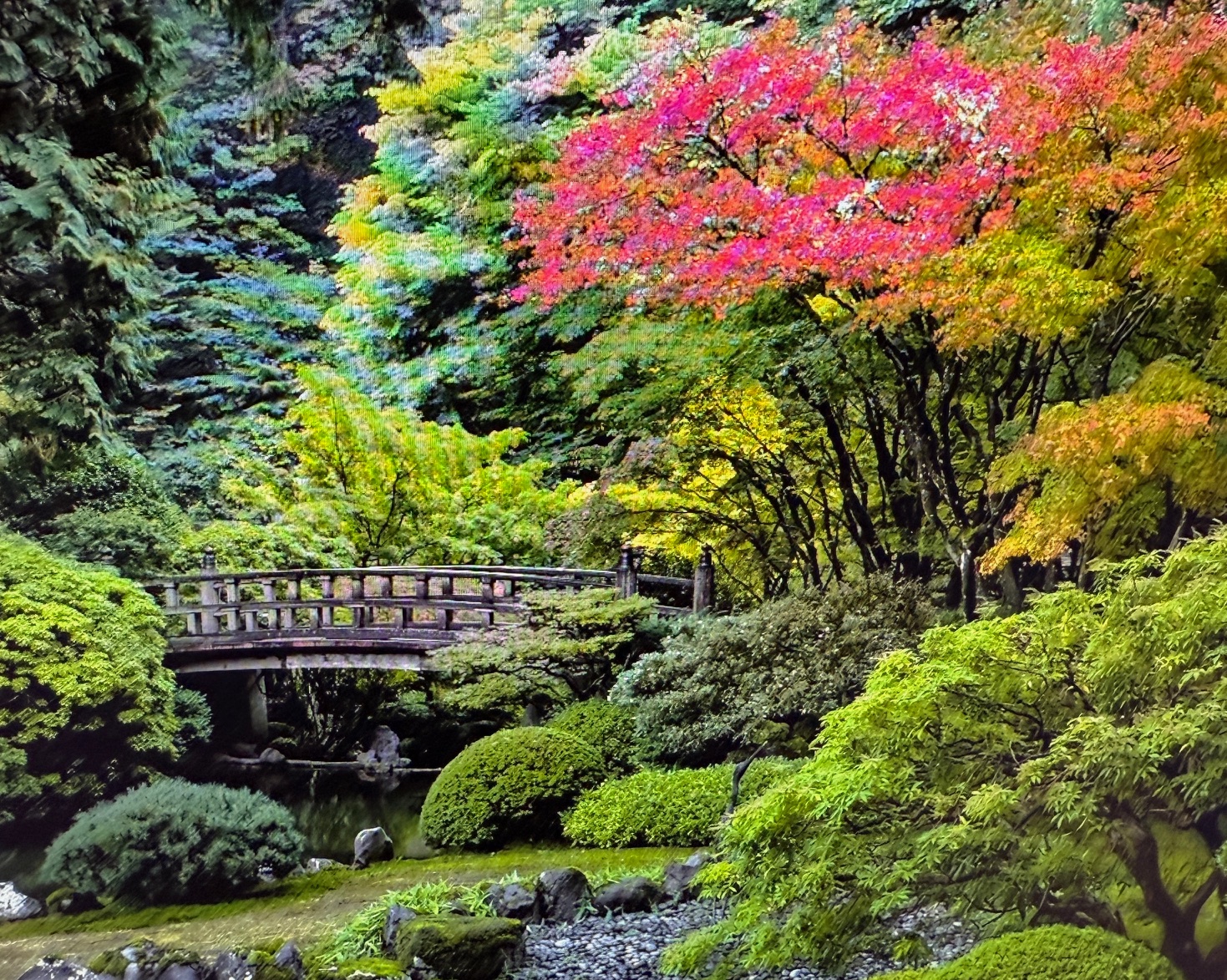 A Few (dozen) of My Favorite Portland Things