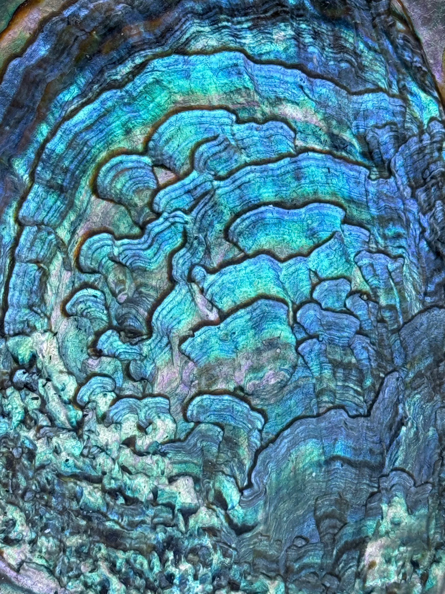 Favorite Things in Random Order